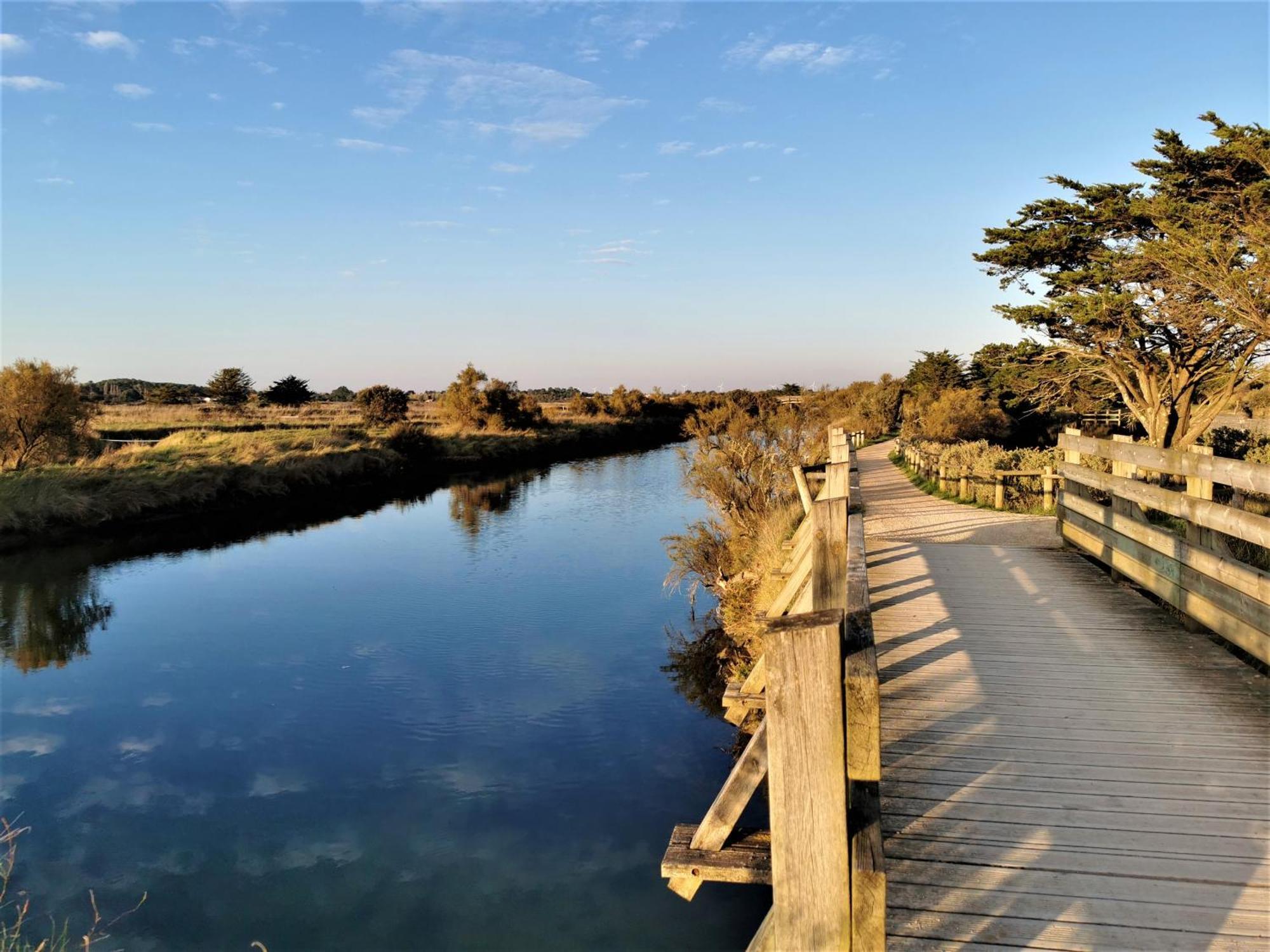 La Lezardiere A Deux Pas Des Quais Villa Les Sables-d'Olonne Bagian luar foto